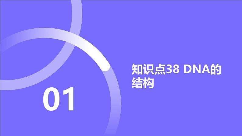 2025届高考生物基础练习第六章 第2节 DNA的结构和复制课件第2页