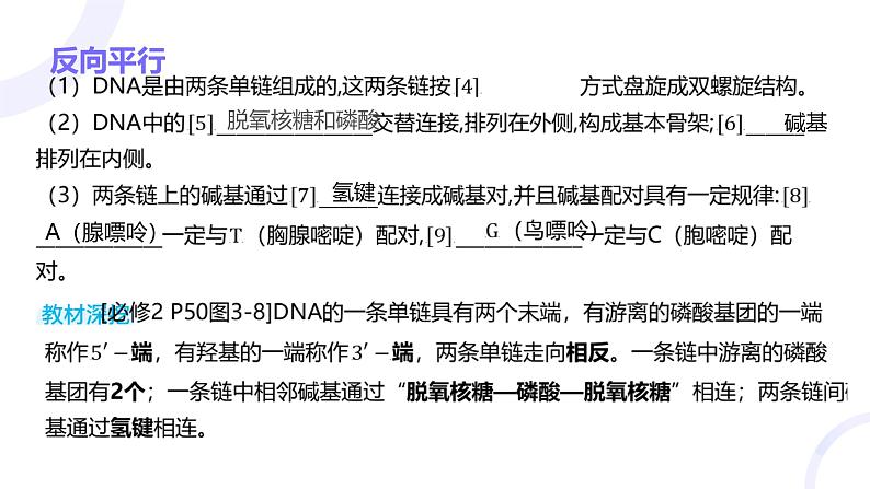 2025届高考生物基础练习第六章 第2节 DNA的结构和复制课件第6页