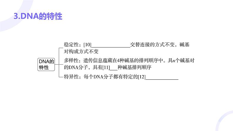 2025届高考生物基础练习第六章 第2节 DNA的结构和复制课件第7页