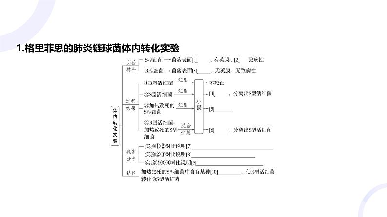 2025届高考生物基础练习第六章 第1节 DNA是主要的遗传物质课件第4页