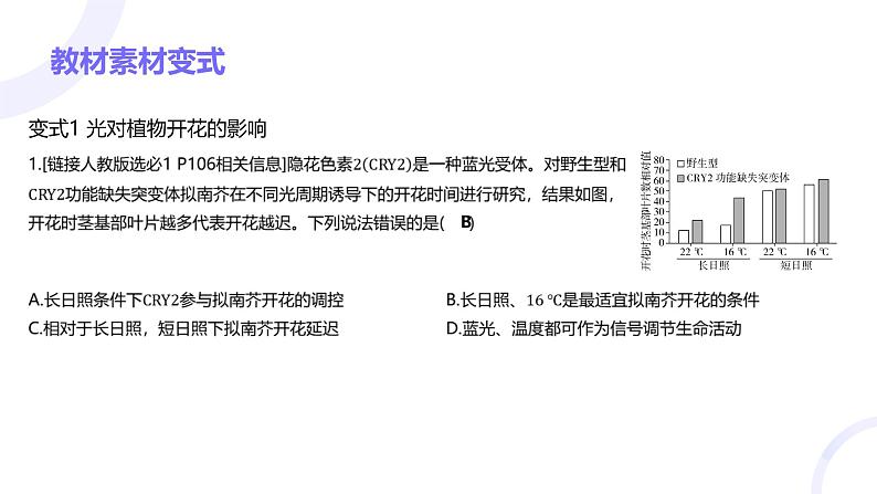 2025届高考生物基础练习第九章 第3节 环境因素参与调节植物的生命活动课件第4页