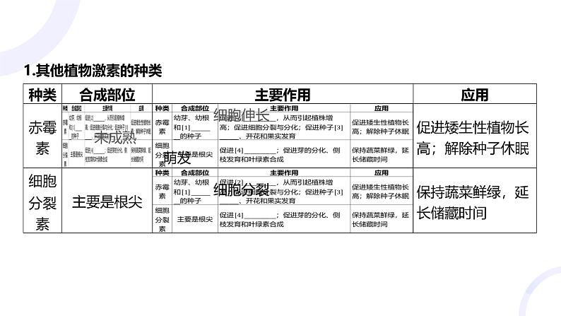 2025届高考生物基础练习第九章 第2节 其他植物激素及植物生长调节剂的应用课件第3页