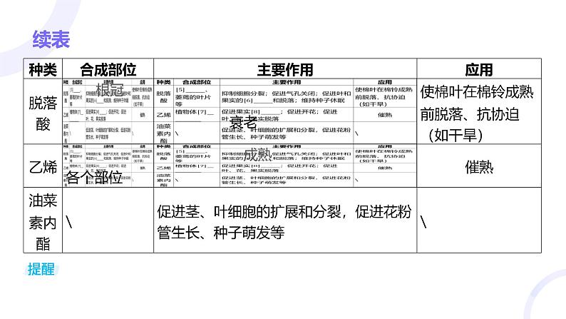 2025届高考生物基础练习第九章 第2节 其他植物激素及植物生长调节剂的应用课件第4页