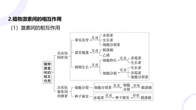 2025届高考生物基础练习第九章 第2节 其他植物激素及植物生长调节剂的应用课件第5页