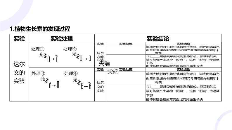 2025届高考生物基础练习第九章 第1节 植物生长素课件第4页