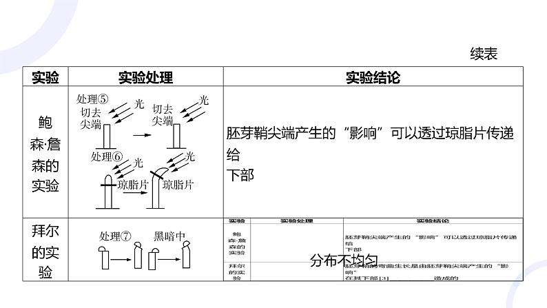 2025届高考生物基础练习第九章 第1节 植物生长素课件第5页