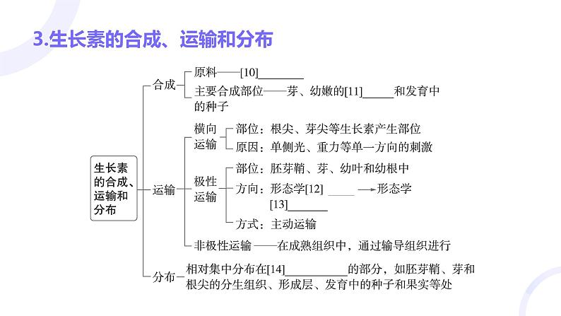 2025届高考生物基础练习第九章 第1节 植物生长素课件第8页