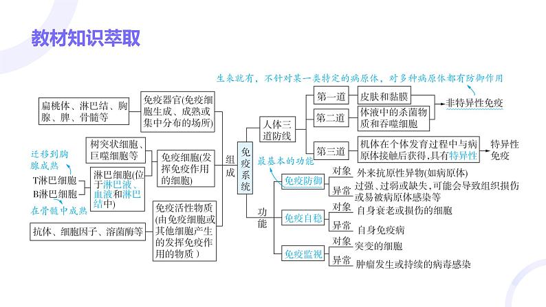 2025届高考生物基础练习第八章 第4节 免疫调节课件第3页