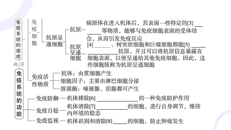 2025届高考生物基础练习第八章 第4节 免疫调节课件第5页