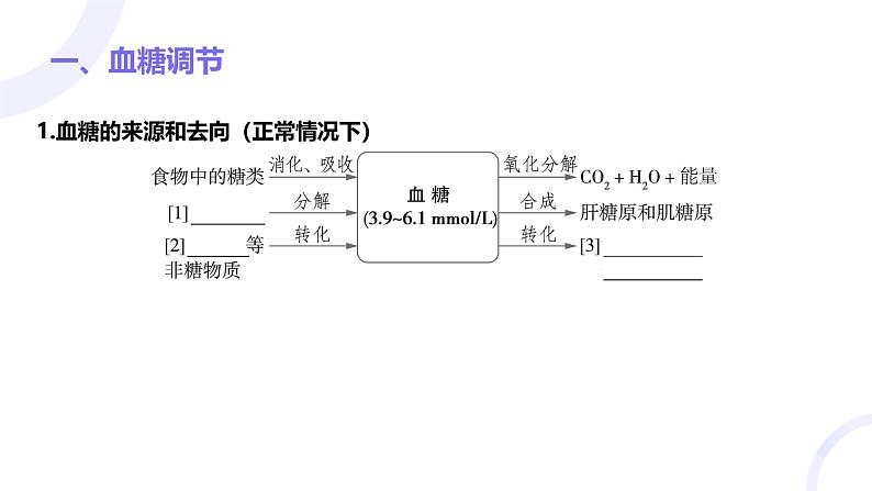 2025届高考生物基础练习第八章 第3节 体液调节及其与神经调节的关系课件第4页