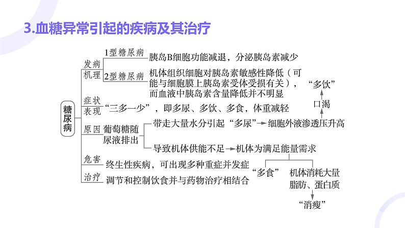 2025届高考生物基础练习第八章 第3节 体液调节及其与神经调节的关系课件第7页