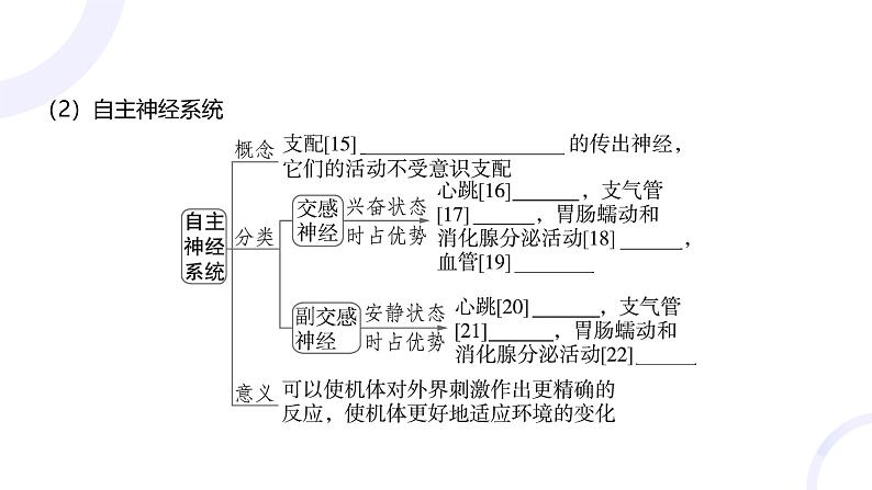 2025届高考生物基础练习第八章 第2节 神经调节课件第7页