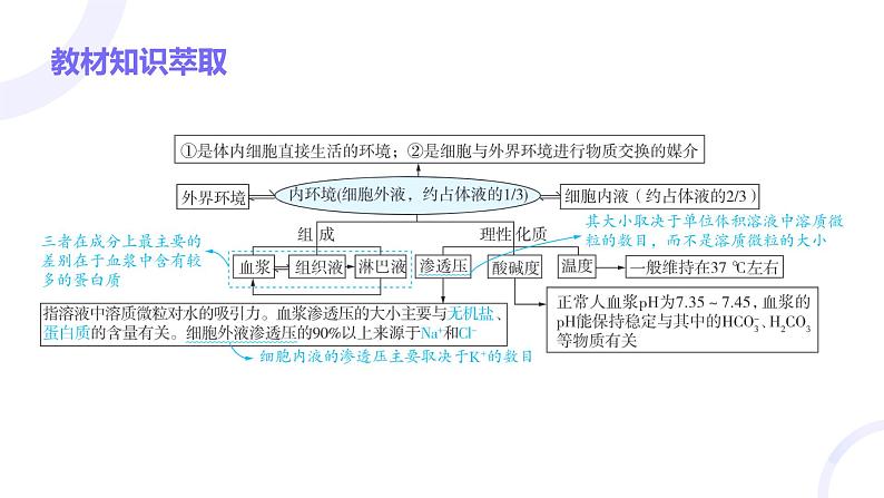 2025届高考生物基础练习第八章 第1节 人体的内环境与稳态课件第3页