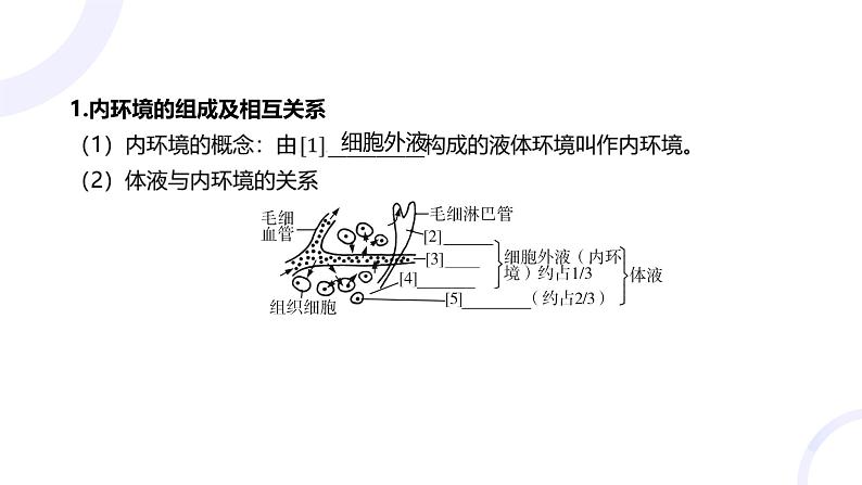 2025届高考生物基础练习第八章 第1节 人体的内环境与稳态课件第4页