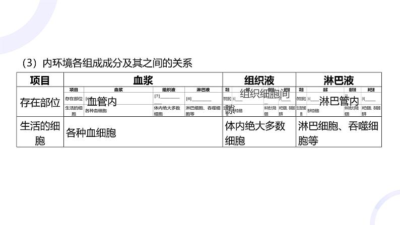 2025届高考生物基础练习第八章 第1节 人体的内环境与稳态课件第5页