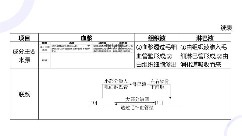 2025届高考生物基础练习第八章 第1节 人体的内环境与稳态课件第6页