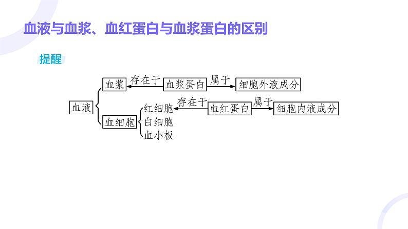 2025届高考生物基础练习第八章 第1节 人体的内环境与稳态课件第7页