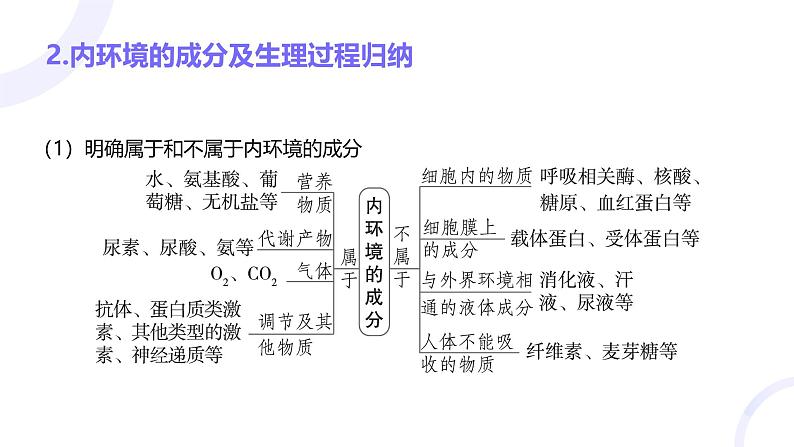 2025届高考生物基础练习第八章 第1节 人体的内环境与稳态课件第8页