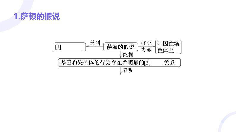 2025届高考生物基础练习第五章 第3节 伴性遗传与人类遗传病课件第4页