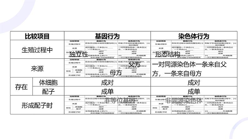 2025届高考生物基础练习第五章 第3节 伴性遗传与人类遗传病课件第5页