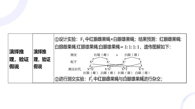 2025届高考生物基础练习第五章 第3节 伴性遗传与人类遗传病课件第8页