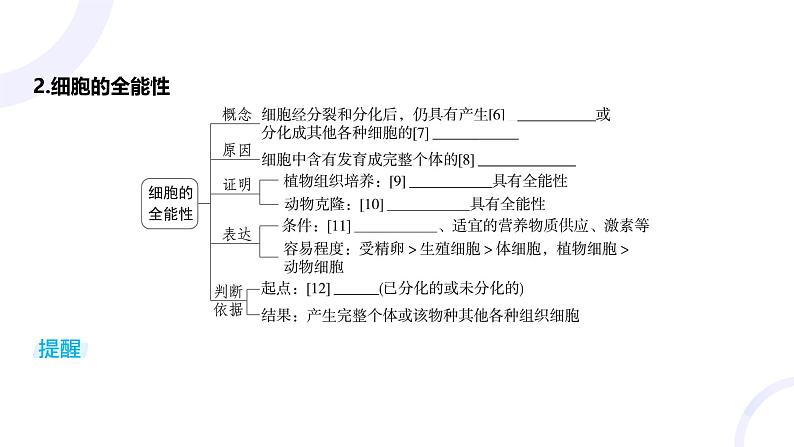 2025届高考生物基础练习第四章 第3节 细胞的分化、衰老和死亡课件第7页