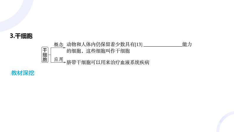 2025届高考生物基础练习第四章 第3节 细胞的分化、衰老和死亡课件第8页