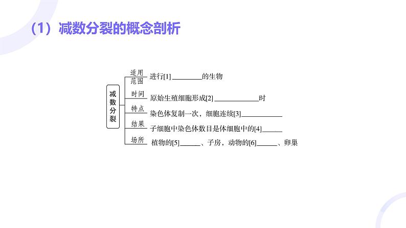 2025届高考生物基础练习第四章 第2节 减数分裂和受精作用课件第4页