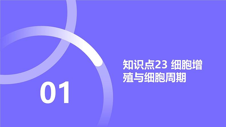 2025届高考生物基础练习第四章 第1节 细胞的增殖课件第2页