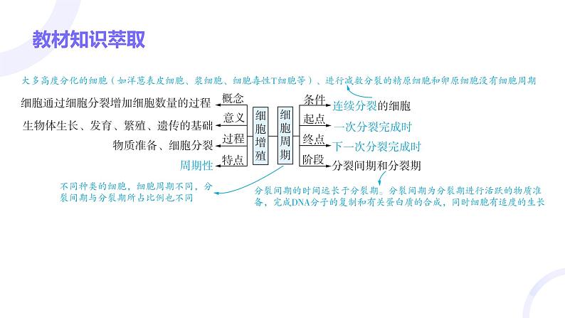 2025届高考生物基础练习第四章 第1节 细胞的增殖课件第3页