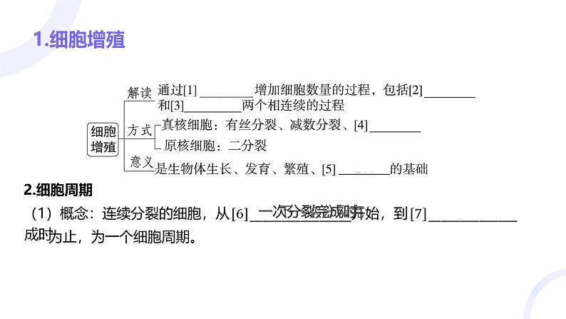 2025届高考生物基础练习第四章 第1节 细胞的增殖课件第4页