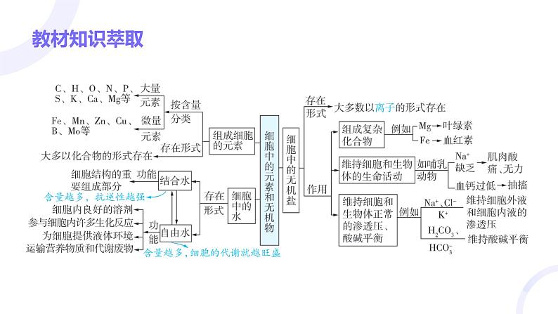 2025届高考生物基础练习第一章 第2节 组成细胞的分子课件第3页