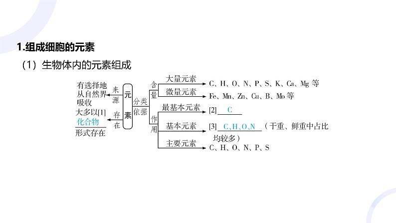 2025届高考生物基础练习第一章 第2节 组成细胞的分子课件第4页