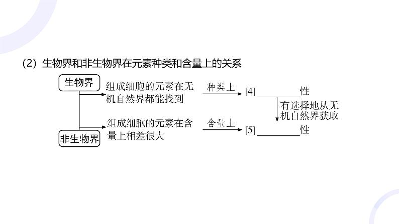 2025届高考生物基础练习第一章 第2节 组成细胞的分子课件第5页