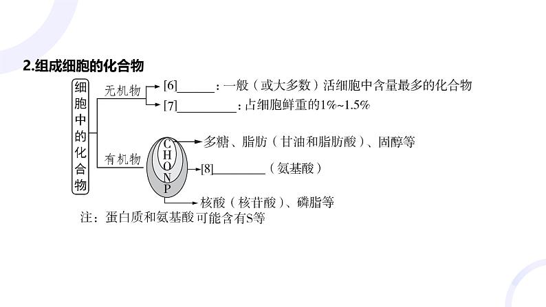 2025届高考生物基础练习第一章 第2节 组成细胞的分子课件第6页