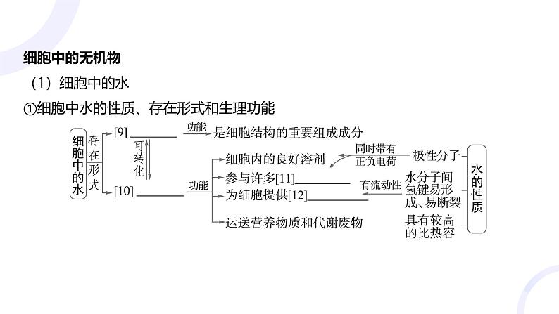 2025届高考生物基础练习第一章 第2节 组成细胞的分子课件第8页