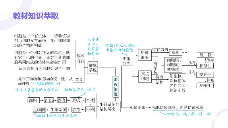 2025届高考生物基础练习第一章 第1节 走近细胞课件第2页