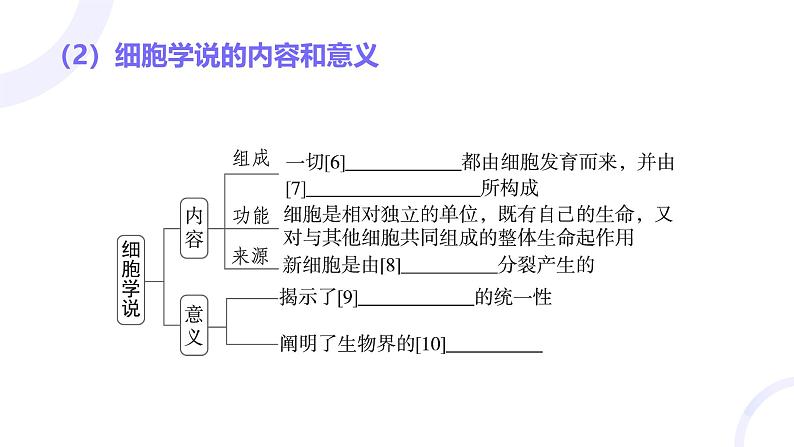 2025届高考生物基础练习第一章 第1节 走近细胞课件第5页