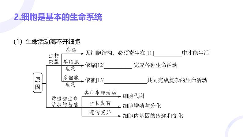 2025届高考生物基础练习第一章 第1节 走近细胞课件第6页