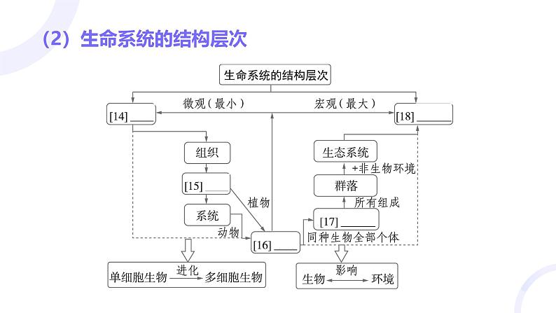 2025届高考生物基础练习第一章 第1节 走近细胞课件第7页