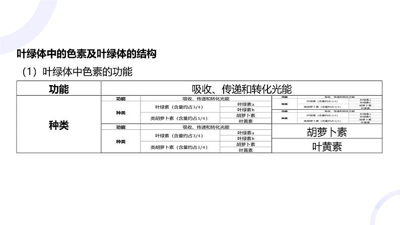 2025届高考生物基础练习第三章 第3节 光合作用与能量转化课件第4页