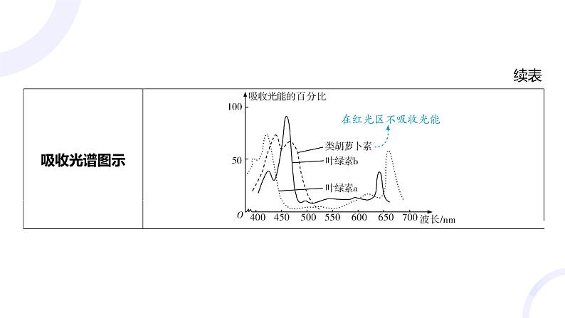 2025届高考生物基础练习第三章 第3节 光合作用与能量转化课件第5页