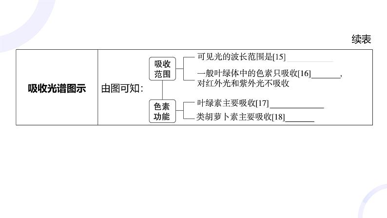 2025届高考生物基础练习第三章 第3节 光合作用与能量转化课件第6页