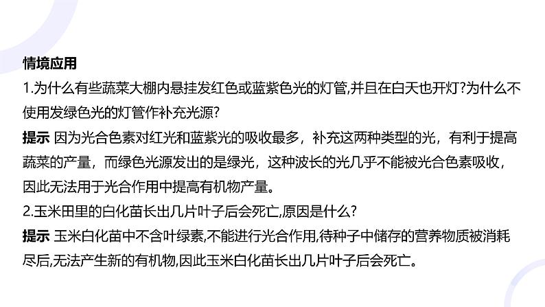 2025届高考生物基础练习第三章 第3节 光合作用与能量转化课件第8页