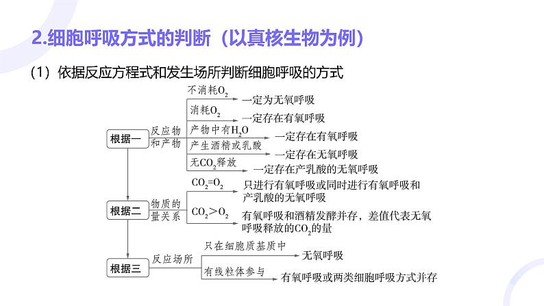 2025届高考生物基础练习第三章 第2节 细胞呼吸的原理和应用课件第7页