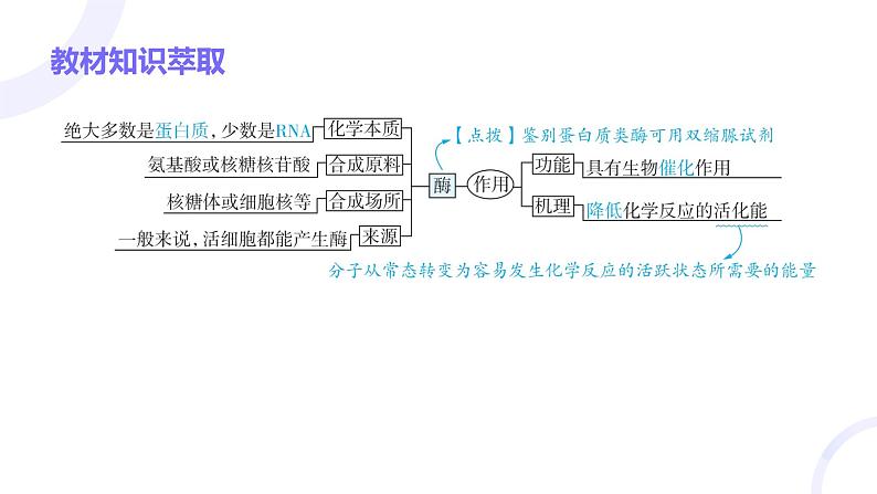 2025届高考生物基础练习第三章 第1节 酶与ATP课件第3页