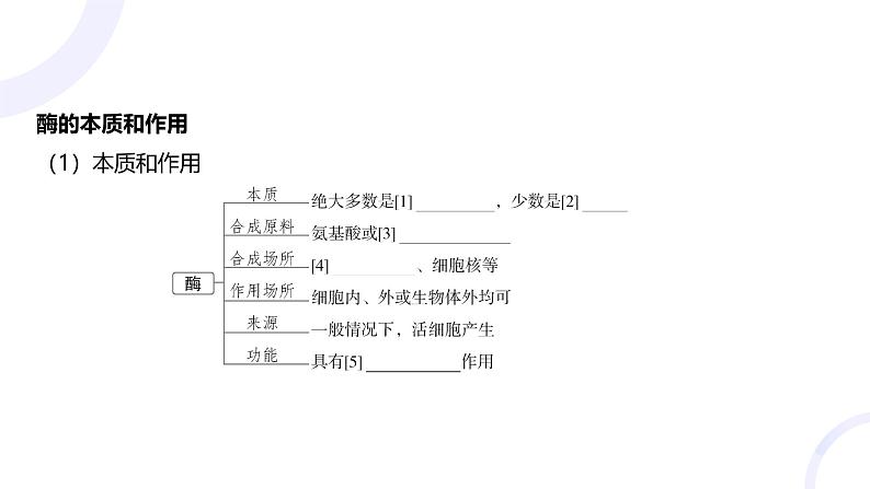 2025届高考生物基础练习第三章 第1节 酶与ATP课件第4页