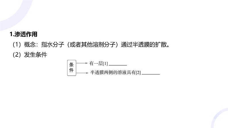 2025届高考生物基础练习第二章 第3节 细胞的物质输入和输出课件第4页