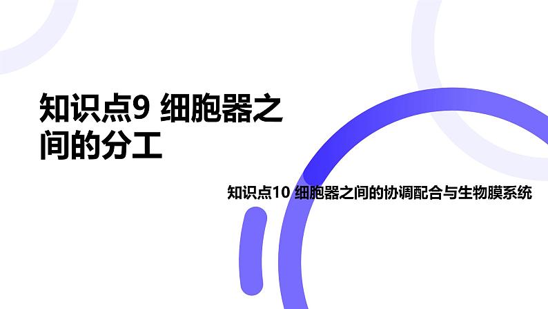 2025届高考生物基础练习第二章 第2节 细胞器和细胞的生物膜系统课件第1页