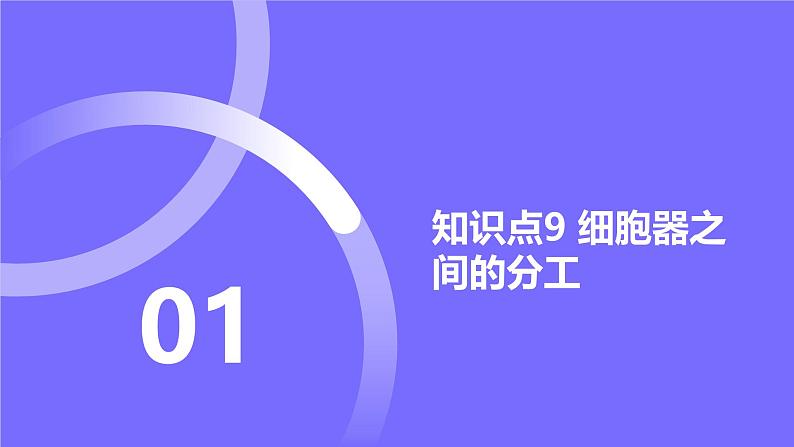 2025届高考生物基础练习第二章 第2节 细胞器和细胞的生物膜系统课件第2页